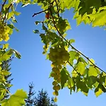 Statek Vranc